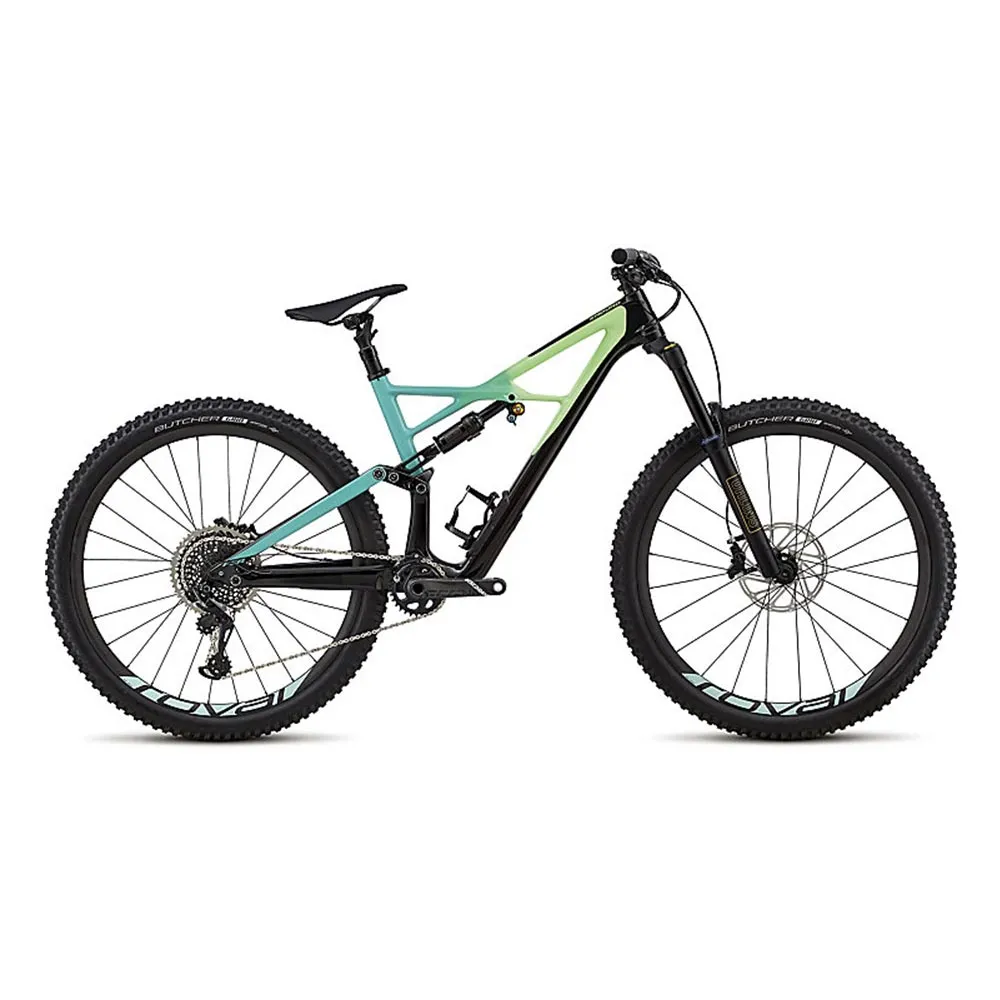 2019 Specialized Enduro FSR Pro Carbon 29/6Fattie