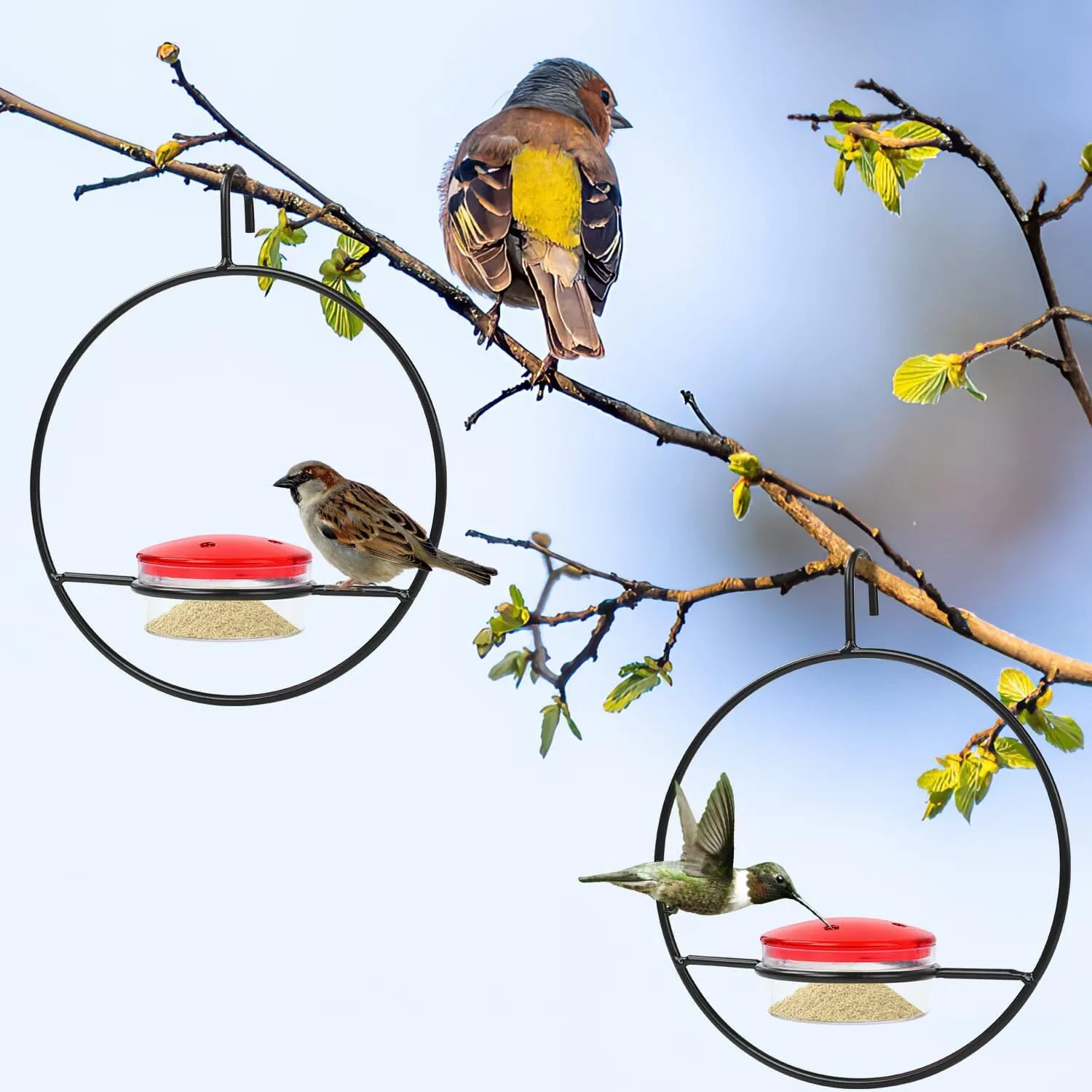 3-Pieces: Stackable Hanging Humming Bird Feeder with Metal Frame & Red Plastic Bowl