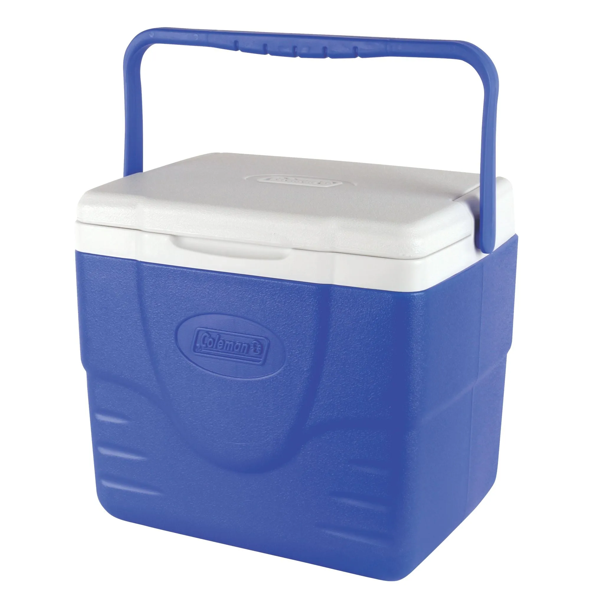 9 Quart Cooler Box (8.5L) ~