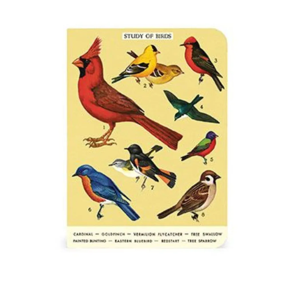 Bird Watching Mini Notebooks - Set of Three