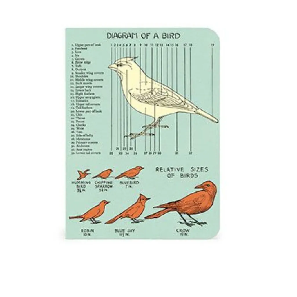 Bird Watching Mini Notebooks - Set of Three