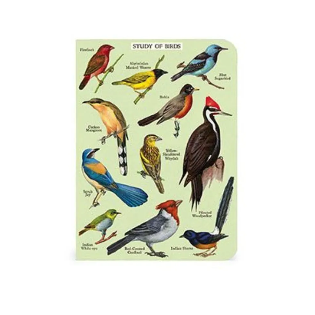 Bird Watching Mini Notebooks - Set of Three