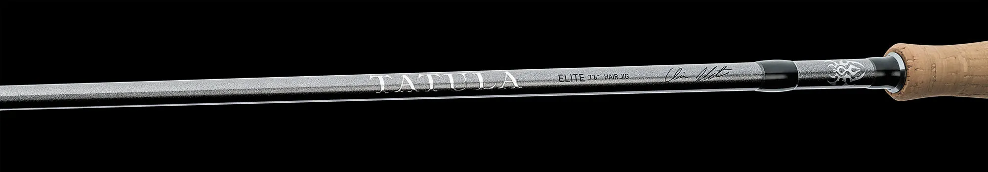 Daiwa Tatula Elite AGS Spinning Rods