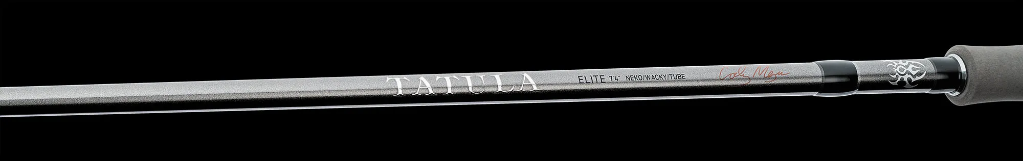 Daiwa Tatula Elite AGS Spinning Rods