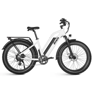 Dirwin Seeker Step-Thru 750W 48V All-Terrain Fat Tire Electric Bike