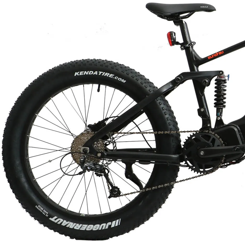 EUNORAU FAT-HS Fat Tire 1000W 48V All-Terrain Mountain Electric Bike