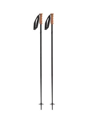 Fixed-length Ski Poles