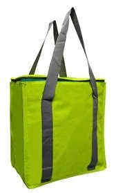 Medium Insulated Bag