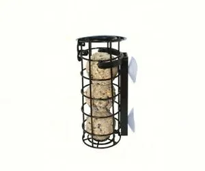 Pinebush Window Suet Ball Bird Feeder