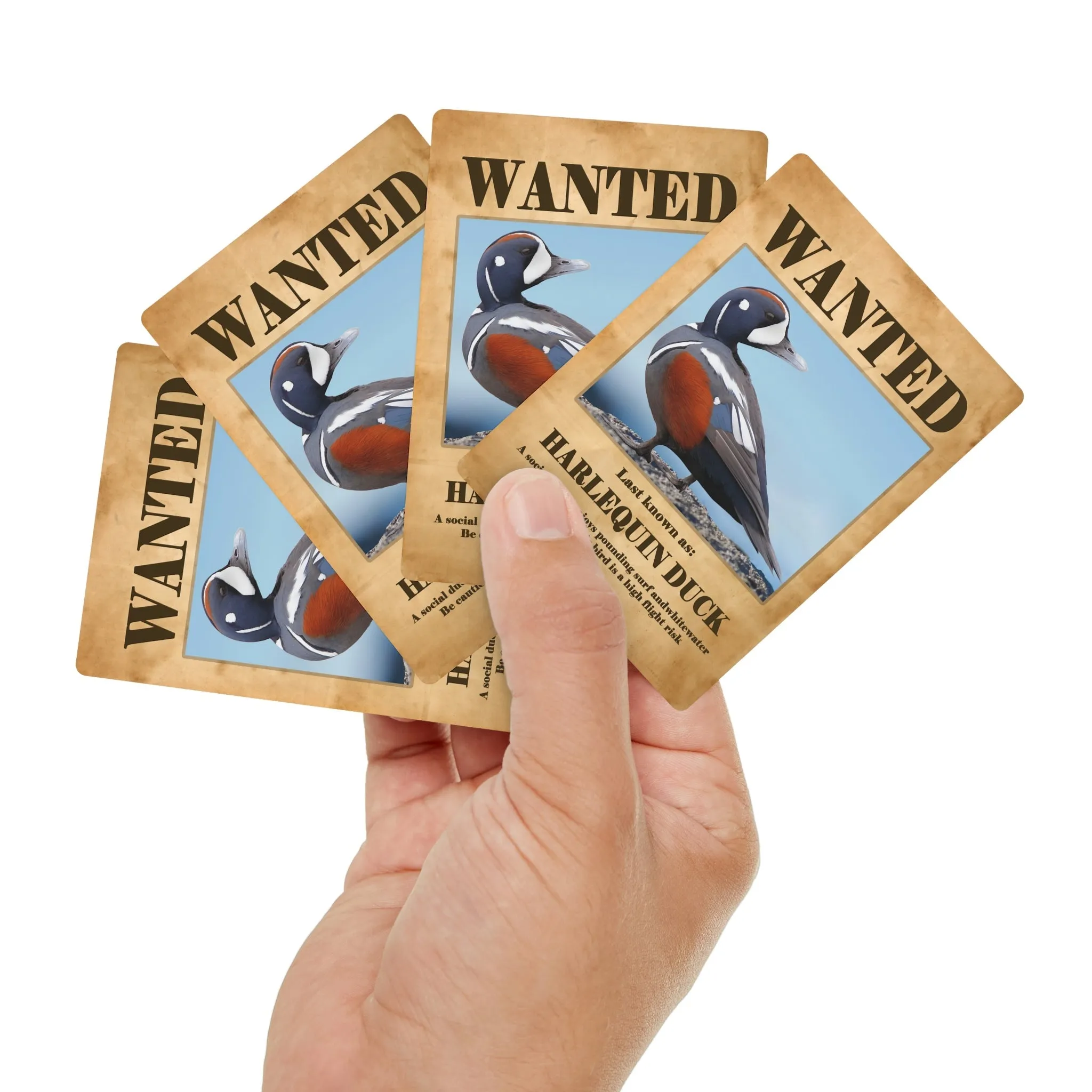 Wanted: Harlequin Duck Poker Playing Cards