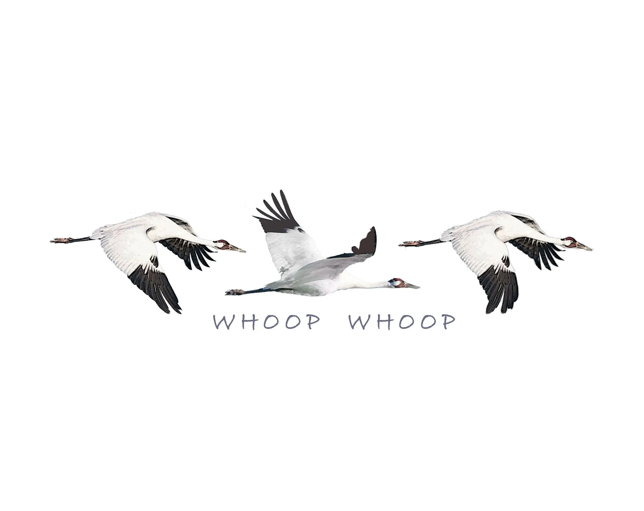 Women's Whoop Whoop Whooping Crane T-Shirt